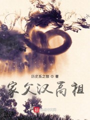 家父汉高祖精校无错版下载